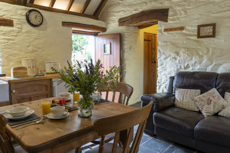 Pant y Celyn 17 768x512