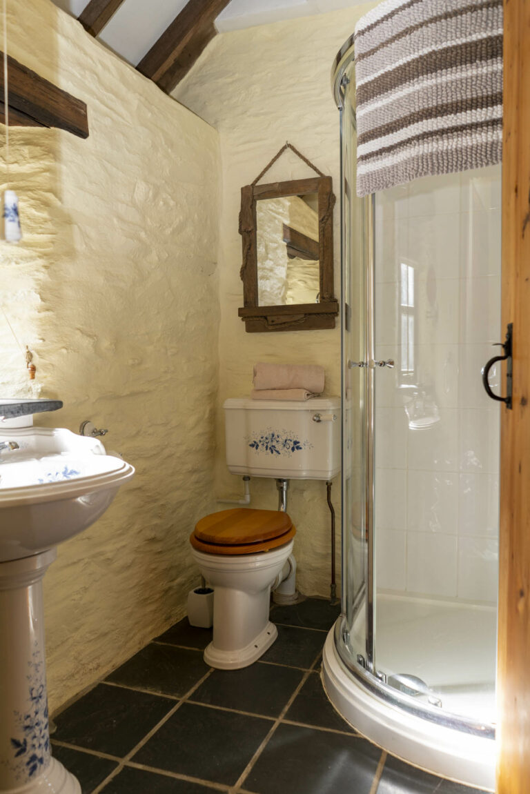 Pant y Celyn 28 768x1151