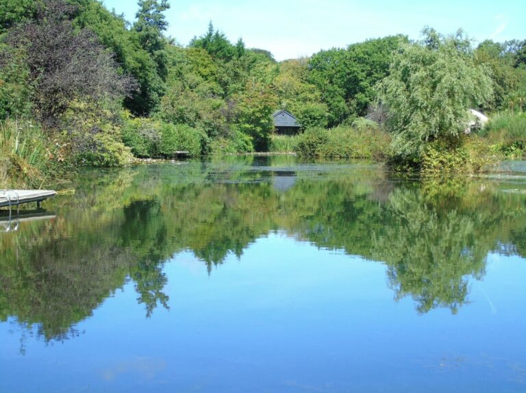 Screenshot 4 768x574