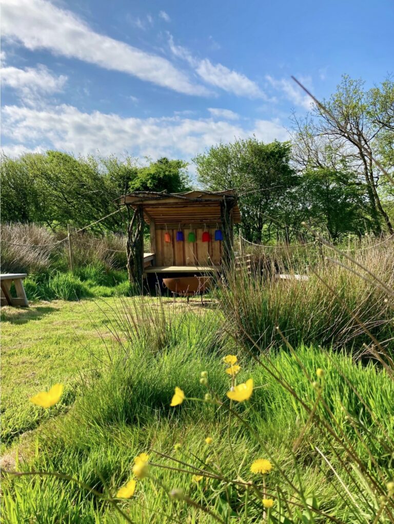 Screenshot 6 768x1021